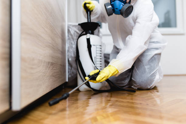 Best Pest Control Near Me in Ames, TX