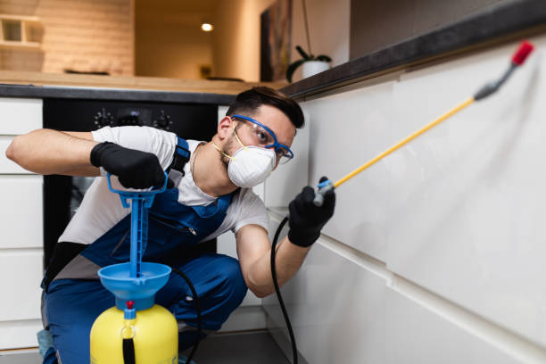 Best Bed Bug Extermination  in Ames, TX
