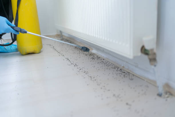 Best Wildlife Control Services  in Ames, TX