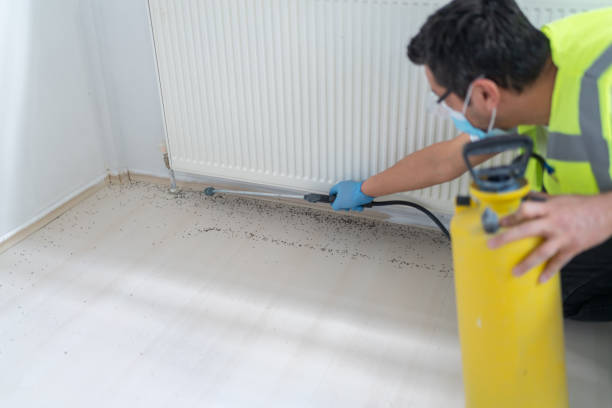 Best Emergency Pest Control  in Ames, TX
